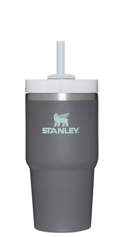 The Quencher H2.0 FlowState™ Tumbler | 20 OZ - Stanley Create